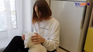Какую породу собак выбрать | Сюжет Насти Трошкиной