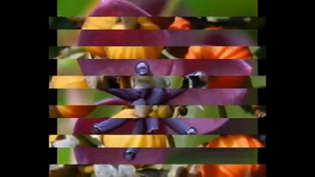 Альпиния пониклая-Домашняя энциклопедия