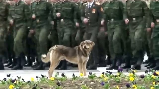 парад - город Остров.mp4