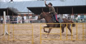 Друзья казака. В исполнении Александра Данилова