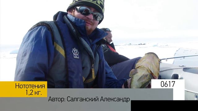 Фотоальбом - Рыбалка №123 смотреть онлайн