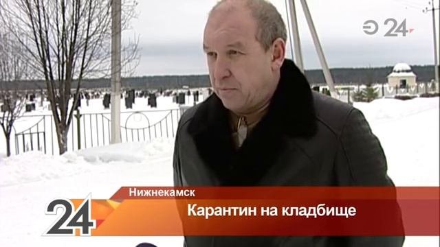 На территории нижнекамского кладбища объявлен карантин по бешенству