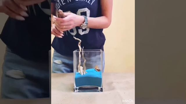 Мастер-класс создания флорариума