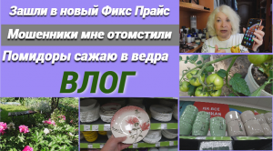 Зашли в новый Фикс Прайс/Как мошенники мне отомстили/Томаты сажаю в ведра/ВЛОГ