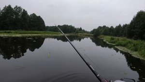 Ловля щуки на спиннинг в сентябре 2021. Рыбалка на щуку. Ловля щуки на воблеры и джиг.