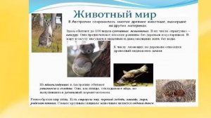Презентация АВСТРАЛИЯ