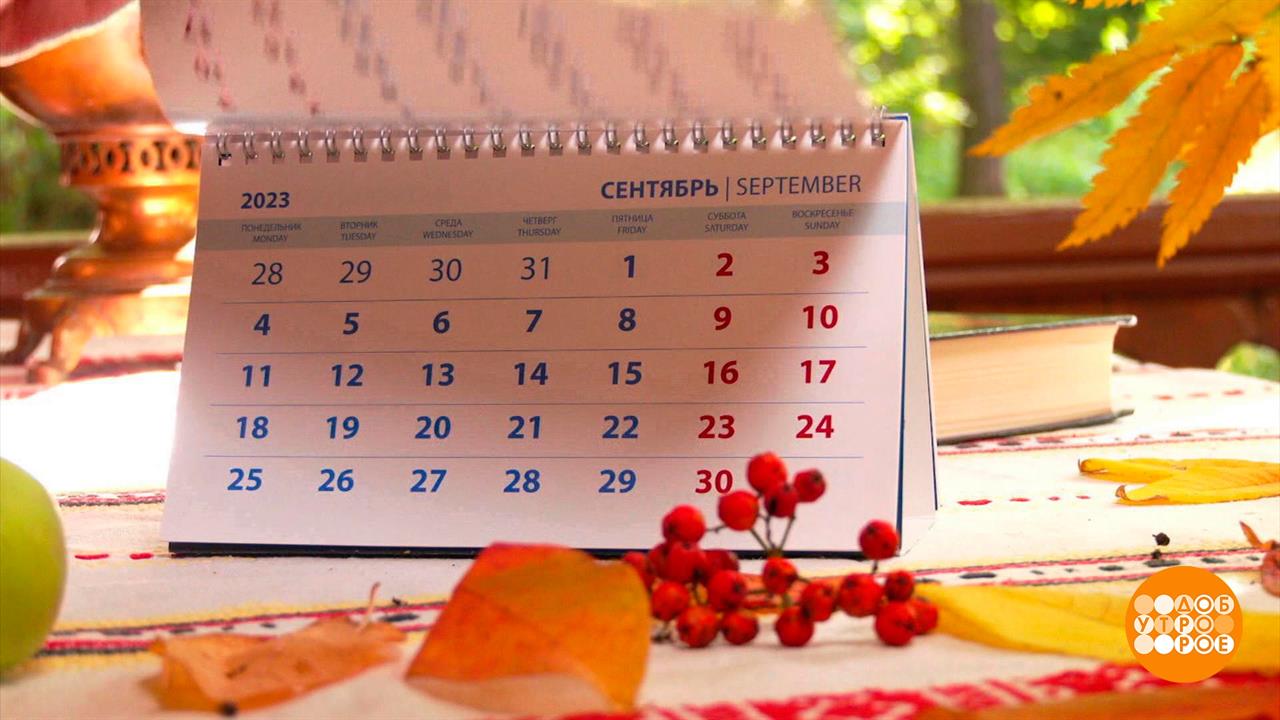 Что такое осень? Это классно! Доброе утро. Суббота. Фрагмент выпуска от 16.09.2023