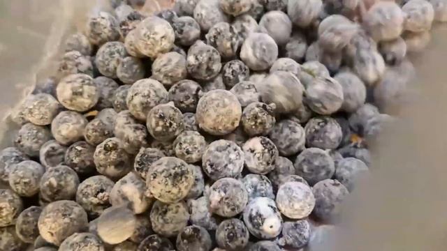ПРОЩЕ рецепта не найдете! САМЫЙ ВКУСНЫЙ пирог с любыми ягодами! Все смешал и в духовку!