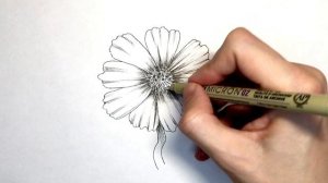 Как Нарисовать Цветок | How To Draw a Flower