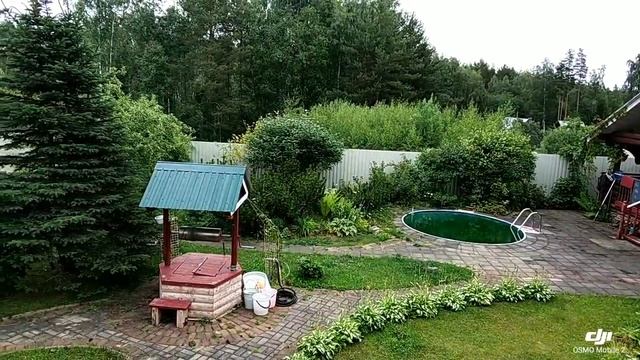 Dacha смотреть онлайн