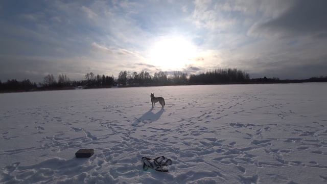 Полет на урочище не состоялся, потому что все сломалось. Найден пульт управления собакой. смотреть онлайн