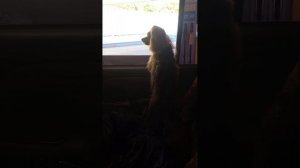 1000014427.mp4