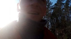 осина. разгадка лечебного средства из осины.