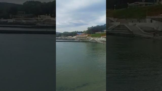 ДИВНОМОРСКОЕ! ОХОТА ДЕЛЬФИНОВ У БЕРЕГА МОРЯ смотреть онлайн