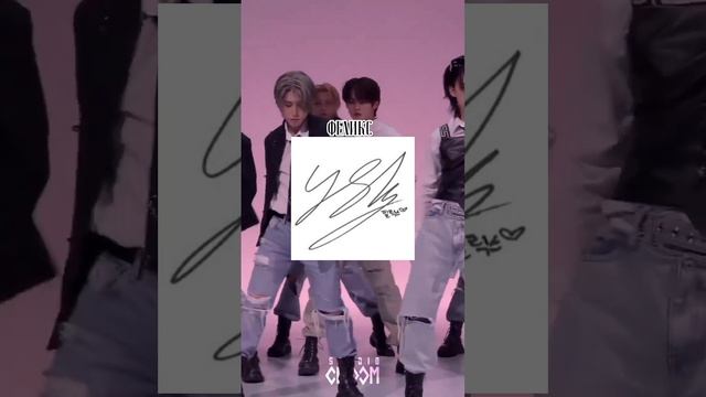 Автографы участников Stray Kids | Прошу прощения если есть ошибки смотреть онлайн