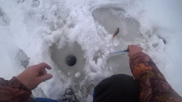Рыбалка на окуня и щуку. Опять на Урагане Тайга, теперь по небольшой наледи! смотреть онлайн
