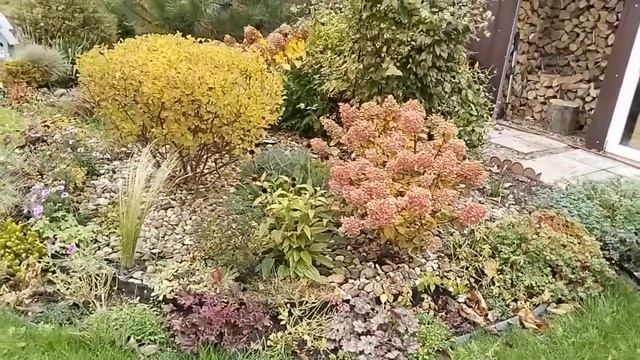 Октябрь уходит?☔но так красиво?Прогулка по саду в октябре. Открываю капустный сезон #garden #сад