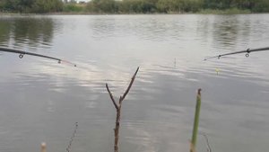 Карась на удочку в непогоду, 6 кг карася. Узунколь. Водохранилище. Покатиловка