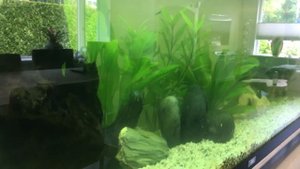 Eheim REEFLEX UV 350 80-350 LTR