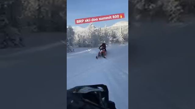 BRP ski-doo summit 800?