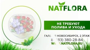 Неувядающие цветы в стекле (в вакууме) NatFlora Новосибирск