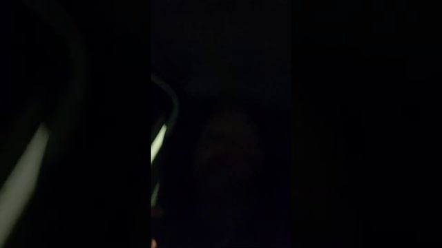 288: Silence, Alloted Germination, and the Reality of Bardon's Teachings смотреть онлайн