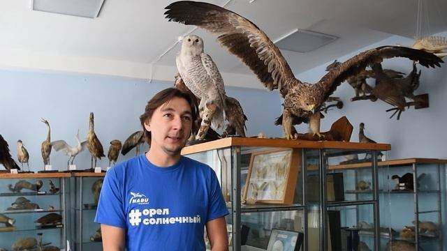 В PROлёте_Долина солнечных орлов смотреть онлайн