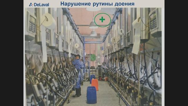 Онлайн-трансляция 1-го дня Конференции "Продуктивное долголетие коров 6.0" смотреть онлайн