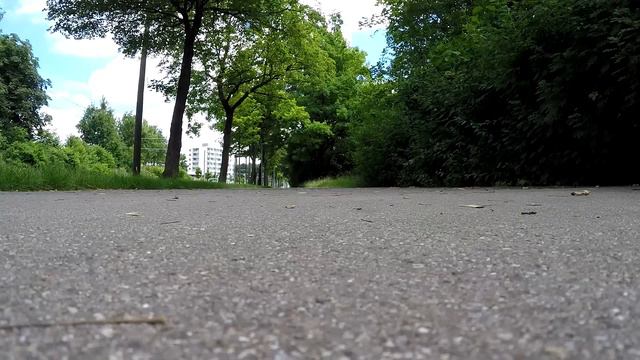 МОЯ СОБАКА АССИДА ! смотреть онлайн