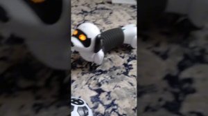 собачка тянучка | робот такса распаковка | ПОДПИШИСЬ ПЖ |