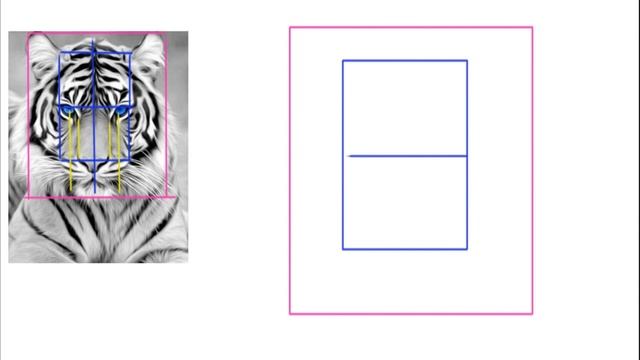 Как научиться срисовывать. Рисуем тигра. смотреть онлайн