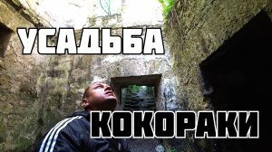 Усадьба Кокораки Горный Ключ.mp4