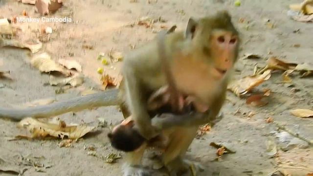 I am hurt mom Anna, Baby Alba hurt neck until cry by hand bad mom смотреть онлайн