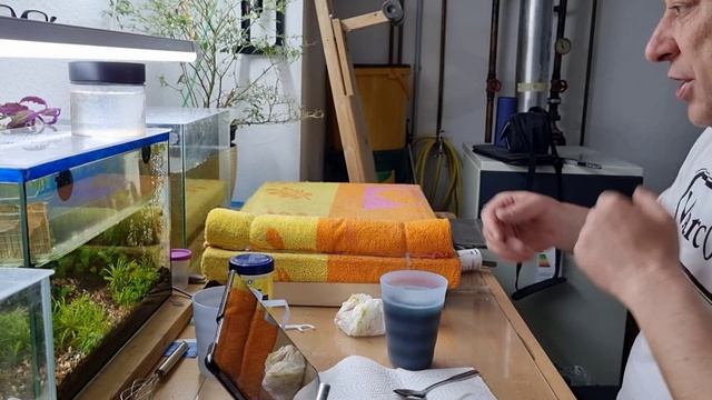 Аквариум без темы смотреть онлайн