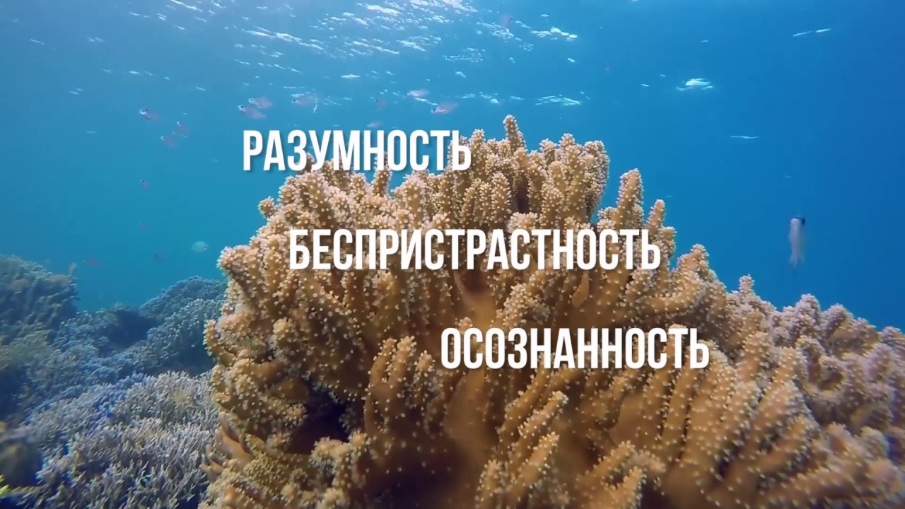 Увидеть Бога