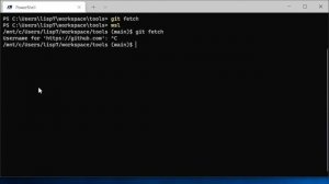 wsl と windows で git の認証情報を共有する