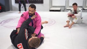 Самый простой и самый нужный свип в арсенале любого джитсера