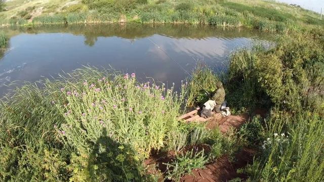 ПОЕХАЛ НА РЫБАЛКУ... А ОНА РОЖАТЬ ВЗДУМАЛА ! смотреть онлайн