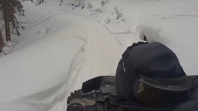 Yamaha Viking 540 смотреть онлайн