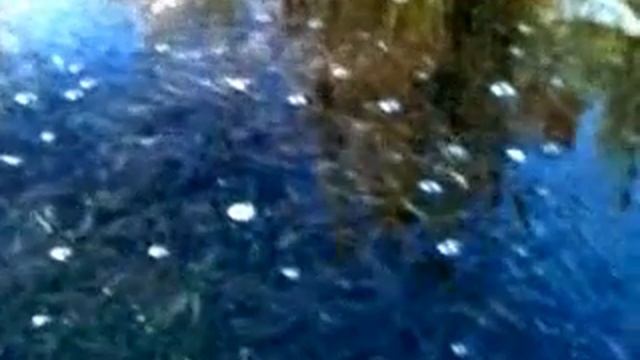 Жители озера Большая- Нанога задыхаются смотреть онлайн