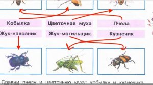 Страница 71 Рабочая тетрадь по окружающему миру за 4 класс 1 часть Плешаков Школа России