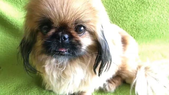 Мокрые Носики. Незнакомец. Как вести себя с незнакомыми людьми ?