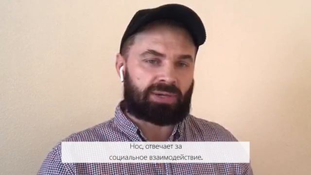 Ведущие и ведомые в чем отличие?