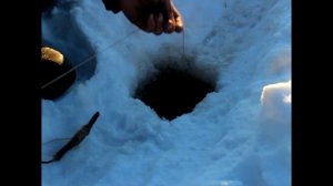 ЩУКИ и НАЛИМЫ на самоловки/таскаем ЩУК/рыбалка в КАРЕЛИИ на ТАЁЖНЫХ ОЗЕРАХ/Три дня на Буранах