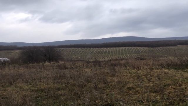 Натухаевская. Участки ИЖС. Северо-восточная часть#переезднаюг#краснодарскийкрай смотреть онлайн