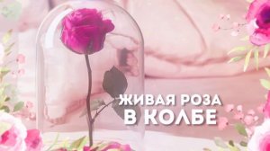 ЧТО ПОДАРИТЬ МАМЕ НА ДЕНЬ РОЖДЕНИЯ, ЮБИЛЕЙ, ДЕНЬ МАТЕРИ? ТОП-24 ИДЕИ ДЛЯ ПОДАРКА НА ЛЮБОЙ ПРАЗДНИК