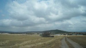 Уборка урожая в СПК "Ванашимахинский".mp4