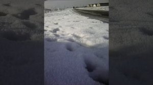 Угон от дпс на мопеде  иж