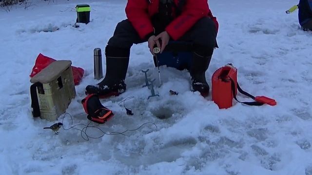 СТАИ ЩЕКЛЕИ!!КЛЮЁТ ИЗ ПОДОЛЬДА!! КАК ПРАВИЛЬНО НАСАДИТЬ МОТЫЛЯ НА КРЮЧЕК!НАСТРОЙКИ ЭХОЛОТА ПРАКТИК. смотреть онлайн