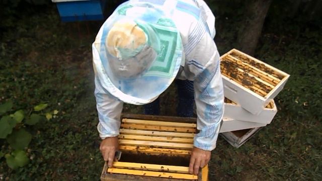 50 семья смотреть онлайн